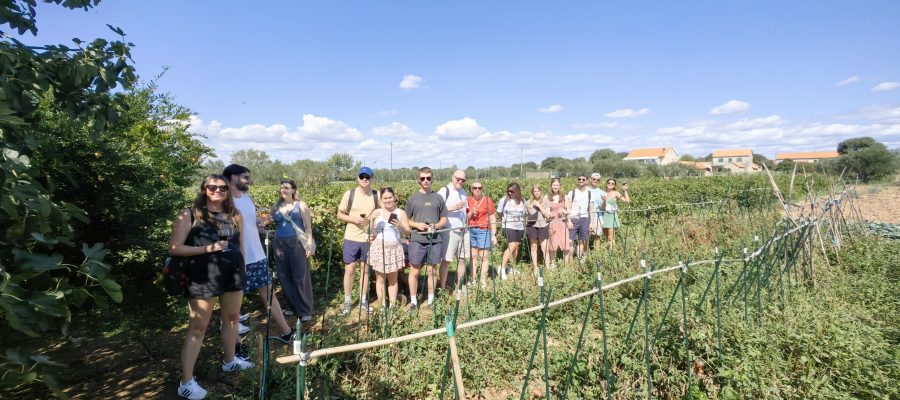 Private transfer from Split to Wineries