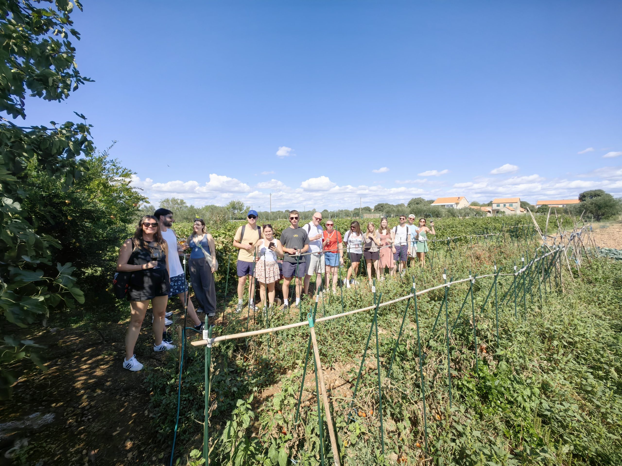 Private transfer from Split to Wineries