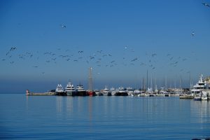 Private transfer from Split airport to D-Marin Borik Marina