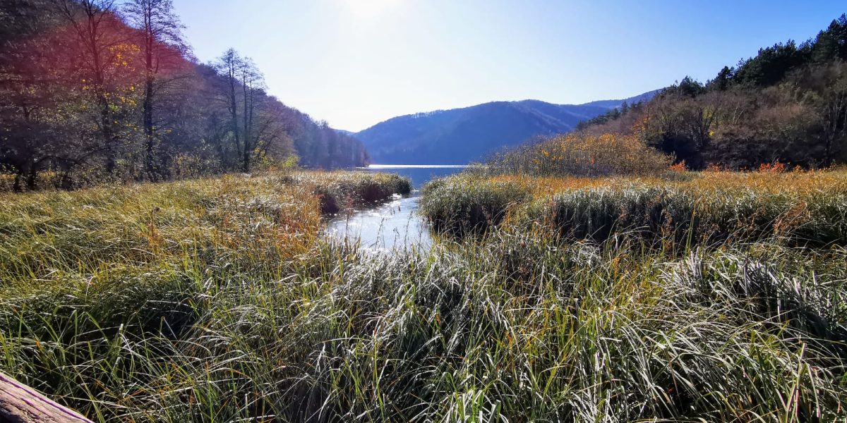 IMG-20201109-WA0000 IMG-20201109-WA0000