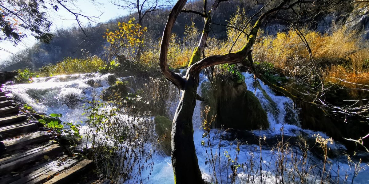 IMG-20201109-WA0001 IMG-20201109-WA0001