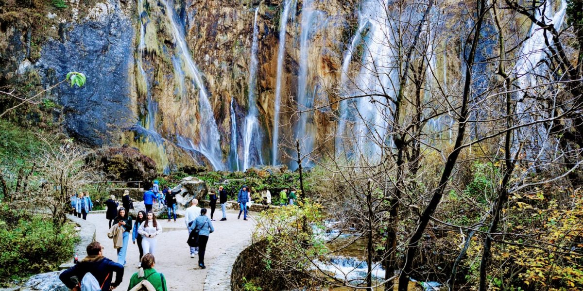 IMG-20201109-WA0002 IMG-20201109-WA0002